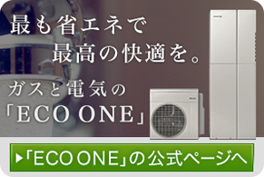 「ECO ONE」の公式ページへ