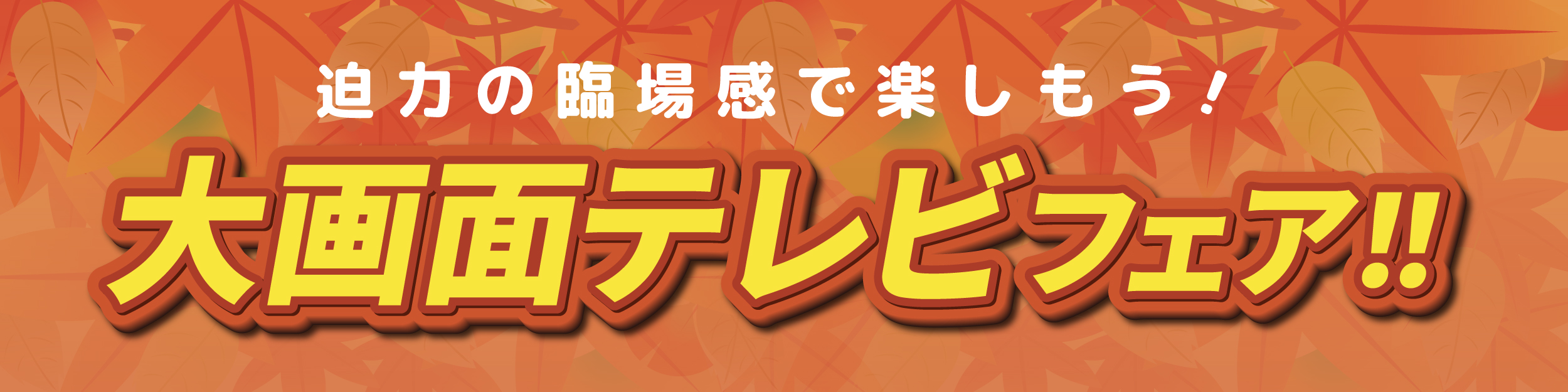 大画面テレビフェア